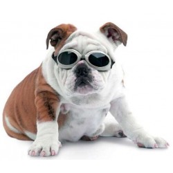 Gafas de sol para perros XL NEGRA