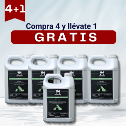 CHAMPÚ GÉNESIS BASIC 5...