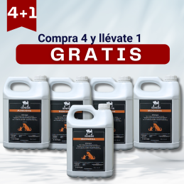Champú Génesis Mandarina 5...